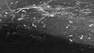 Still 2 from this detection