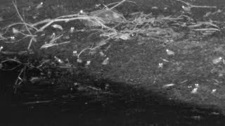 Still 3 from this detection