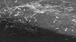 Still 2 from this detection