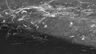 Still 3 from this detection