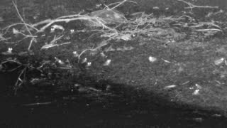Still 3 from this detection