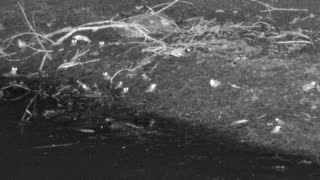 Still 3 from this detection