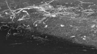 Still 1 from this detection