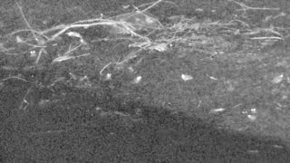 Still 2 from this detection