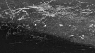 Still 3 from this detection