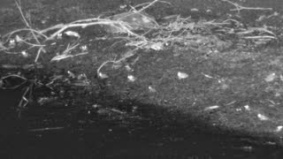 Still 1 from this detection
