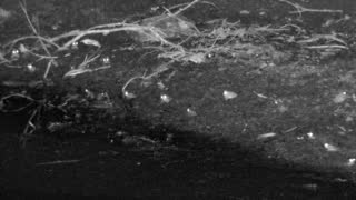 Still 3 from this detection