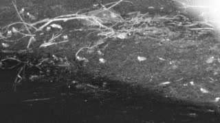 Still 3 from this detection