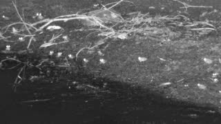 Still 1 from this detection