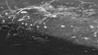 Still 1 from this detection