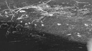 Still 1 from this detection