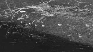 Still 2 from this detection