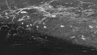 Still 3 from this detection