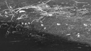 Still 3 from this detection