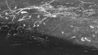 Still 1 from this detection