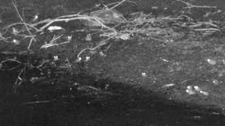 Still 2 from this detection