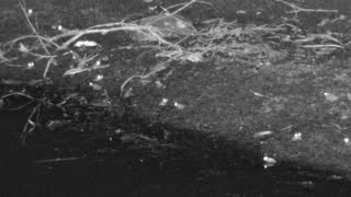 Still 3 from this detection