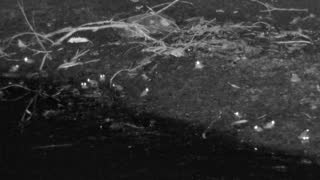 Still 2 from this detection