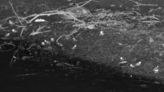 Still 3 from this detection