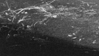 Still 2 from this detection