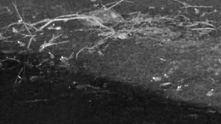 Still 3 from this detection