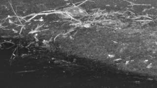 Still 2 from this detection