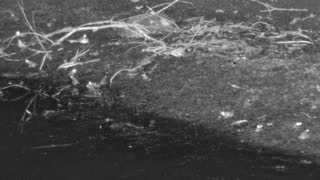 Still 3 from this detection