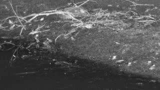 Still 1 from this detection