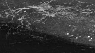 Still 2 from this detection