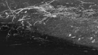 Still 3 from this detection