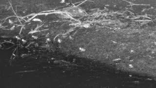 Still 3 from this detection
