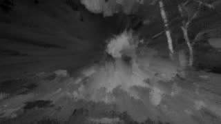 Still 3 from this detection