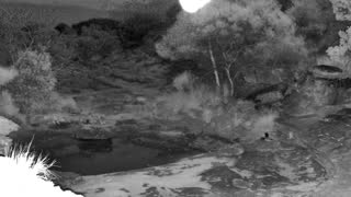 Still 2 from this detection