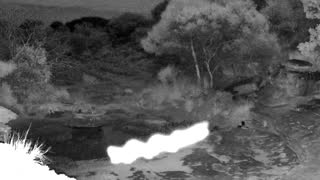 Still 1 from this detection