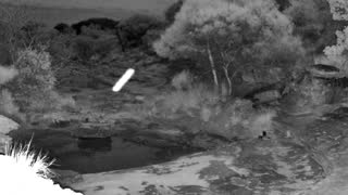 Still 2 from this detection