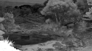 Still 1 from this detection
