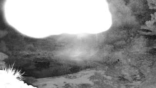 Still 1 from this detection