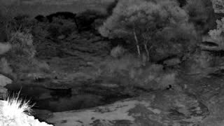 Still 2 from this detection