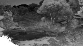 Still 2 from this detection