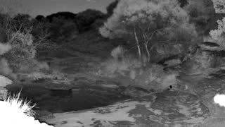 Still 1 from this detection