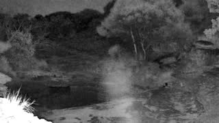 Still 2 from this detection