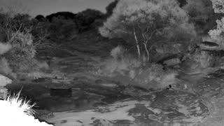 Still 3 from this detection