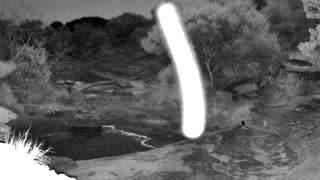 Still 1 from this detection
