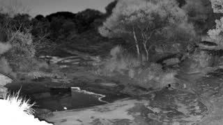Still 2 from this detection