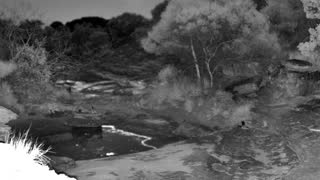 Still 3 from this detection