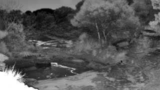 Still 2 from this detection
