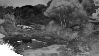 Still 1 from this detection