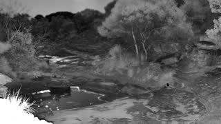 Still 2 from this detection