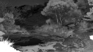 Still 1 from this detection