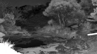Still 3 from this detection